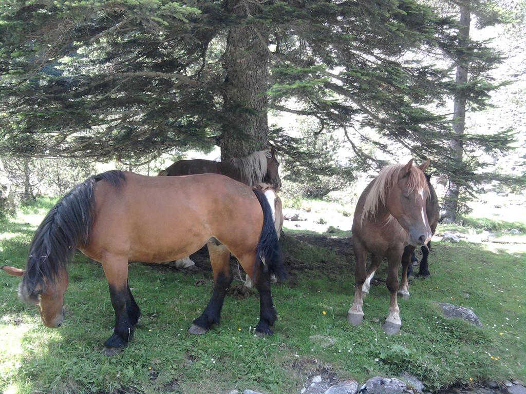 Vacances Perennes Cauterets Kültér fotó